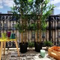 Paris prend l'air - appartement avec balcon - Paris 10 - 75 - espace extérieur