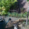 Paris prend l'air - maison avec jardin - atelier - Saint-Ouen - 93