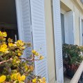 Paris prend l'air - Paris 17 - balcon - espace extérieur - appartement - maison - jardin - 92 - 93 -