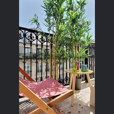 Paris prend l'air - appartement avec balcon - Paris 10 - 75 - espace extérieur